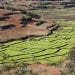 AGRICULTURE – Hausse de 200.000 tonnes de la production de paddy en 2022 par rapport à 2021, selon le ministre de l’Agriculture