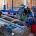 AIDE HUMANITAIRE – 350 points d’eau construits depuis 2017 à Antananarivo, Toliara et Mahajanga grâce au projet Alliance pour l’eau et le développement du gouvernement américain