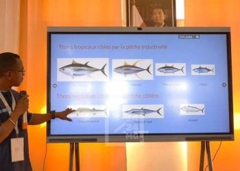 PÊCHE – Les captures effectuées par les bateaux européens n’affecteront pas les activités des petits pêcheurs malgaches, soutient le ministre de la Pêche et de l&rsquo;économie bleue