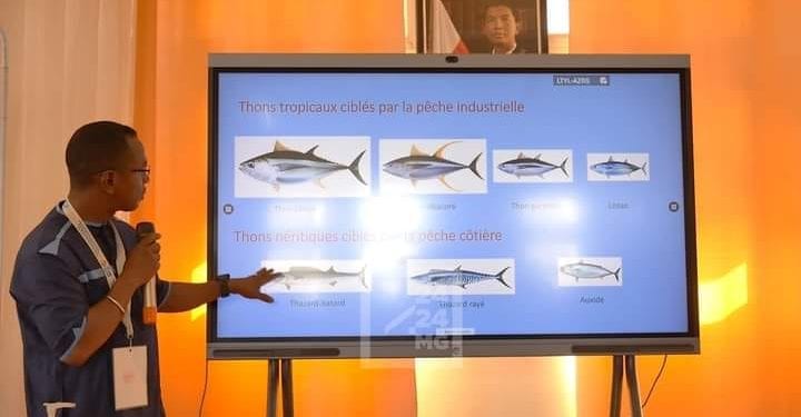 PÊCHE – Les captures effectuées par les bateaux européens n’affecteront pas les activités des petits pêcheurs malgaches, soutient le ministre de la Pêche et de l’économie bleue