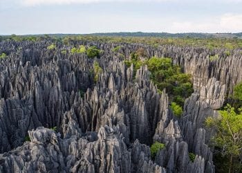 TOURISME – La Confédération du tourisme de Madagascar (CTM)  s’insurge contre la recrudescence de l’insécurité dans plusieurs régions de Madagascar suite à l’attaque de « Dahalo » subi par un guide touristique à Bekopaka.