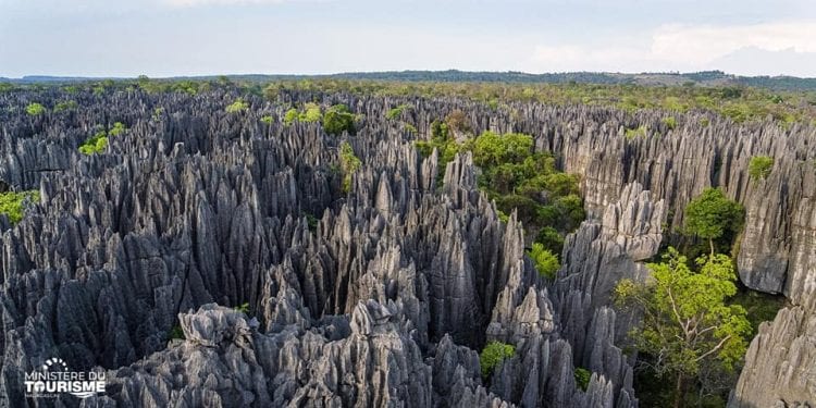TOURISME – La Confédération du tourisme de Madagascar (CTM)  s’insurge contre la recrudescence de l’insécurité dans plusieurs régions de Madagascar suite à l’attaque de « Dahalo » subi par un guide touristique à Bekopaka.