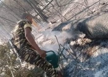 ENVIRONNEMENT – Les feux dans le parc national Zombitse-Vohibasia finalement maitrisés, selon la gendarmerie.