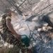ENVIRONNEMENT – Les feux dans le parc national Zombitse-Vohibasia finalement maitrisés, selon la gendarmerie.