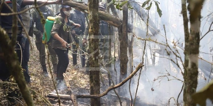ENVIRONNEMENT – Les feux survenus dans la réserve d&rsquo;Ambohitantely maîtrisés après 19 jours de lutte contre les flammes, les superficies perdues en cours d&rsquo;évaluation