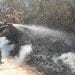 ENVIRONNEMENT – 600 citoyens mobilisés pour participer à une opération d’extinction de feux de forêt à la réserve spéciale d’Ambohitantely-Ankazobe ce vendredi