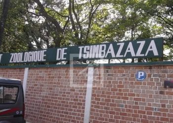 ENVIRONNEMENT – Huit lémuriens « Sifaka » meurent de la tuberculose au parc botanique et zoologique de Tsimbazaza
