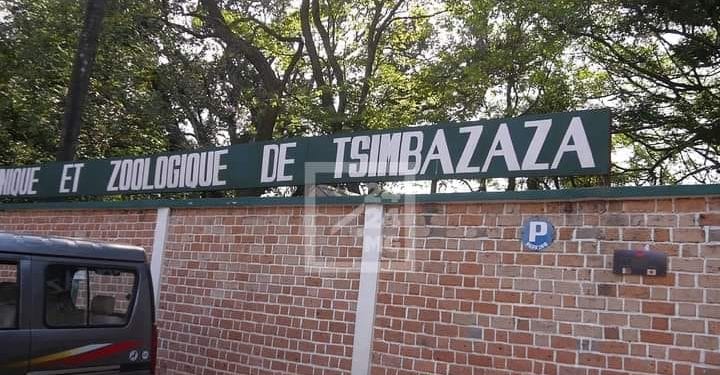 ENVIRONNEMENT – Huit lémuriens « Sifaka » meurent de la tuberculose au parc botanique et zoologique de Tsimbazaza