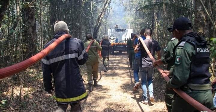 ENVIRONNEMENT – Un Centre de coordination et d’opérationnalisation mis en place pour lutter contre les feux de brousse et de forêts, un nouveau logiciel appelé Aroafo Data pour une gestion numérique des opérations