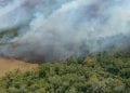 INCENDIE – La plupart des 980 points de feux signalés le mardi 11 Octobre notés dans l&rsquo;Est et le Sud-Est, selon le ministère de l&rsquo;Environnement et du développement durable