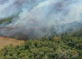 INCENDIE – La plupart des 980 points de feux signalés le mardi 11 Octobre notés dans l’Est et le Sud-Est, selon le ministère de l’Environnement et du développement durable