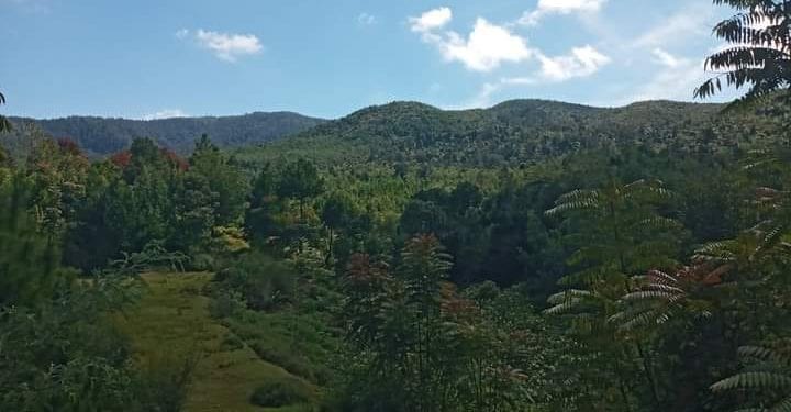 INCENDIE – La réserve naturelle d’Ankaratra également en feu, selon le ministère de l’Environnement et du développement durable