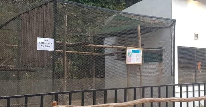 SANTE ANIMALE – Un comité technique et scientifique mis en place pour faire face aux cas de tuberculose détectés au sein du parc botanique et zoologique de Tsimbazaza