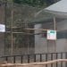 SANTE ANIMALE – Un comité technique et scientifique mis en place pour faire face aux cas de tuberculose détectés au sein du parc botanique et zoologique de Tsimbazaza