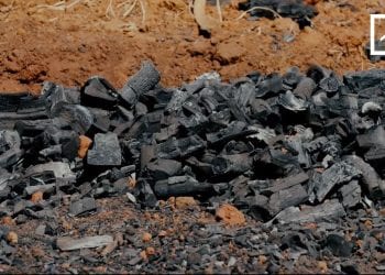 ALTERNATIVES – Du bio-charbon écologique pour remplacer le charbon de bois et le bois de chauffe