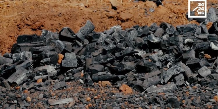 ALTERNATIVES – Du bio-charbon écologique pour remplacer le charbon de bois et le bois de chauffe