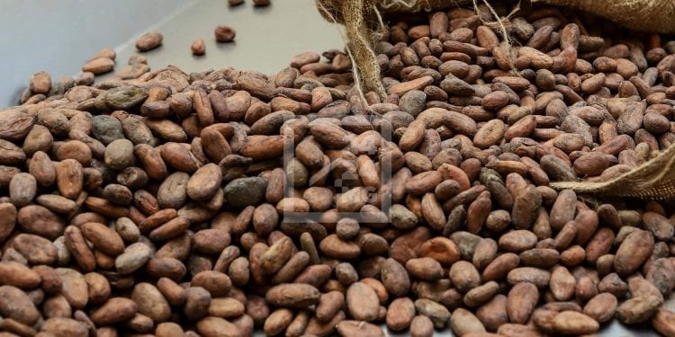 COMMERCE – Les produits agricoles et forestiers exportés soumis à un impôt de 3% de leur prix