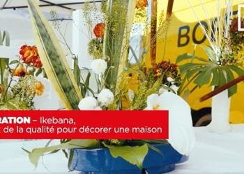 DECORATION – Ikebana, le choix de la qualité pour décorer une maison