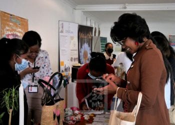 ENVIRONNEMENT – Une trentaine de jeunes entrepreneurs environnementaux appuyés par la Plateforme des professionnels de l’accompagnement en entrepreneuriat innovant (PPAEI) et l’Organisation internationale de la Francophonie s’exposent durant deux jours à l’IKM Antsahavola