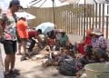 FETES DE FIN D’ANNEE – Le marché de la volaille peine à démarrer