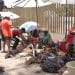 FETES DE FIN D’ANNEE – Le marché de la volaille peine à démarrer