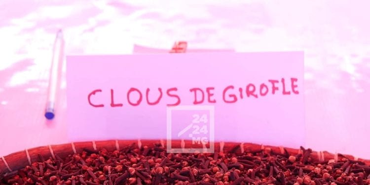FILIERE DE RENTE – 79 sociétés autorisées à exporter du girofle pour la campagne 2022-2023