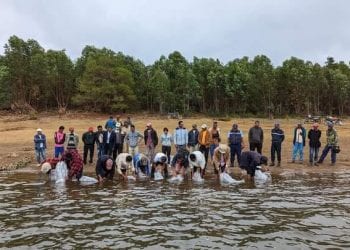 PISCICULTURE – Le ministère de la Pêche et de l’économie bleue déverse 5 000 alevins dans le lac de Tsiazompaniry et offre des filets de pêche aux normes aux pêcheurs de la région