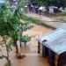 INTEMPERIES – Sept morts et 13 disparus après le passage de la tempête tropicale Cheneso selon le bilan publié mardi par le BNGRC