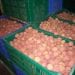 COMMERCE EXTÉRIEUR – Le litchi malgache continue de se vendre sur le marché européen