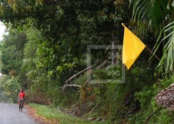 CYCLONE – Quatre régions placées en alerte jaune, la future Cheneso devrait toucher terre ce jeudi