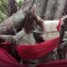 DÉCOUVERTE – L’arbre sacré de Nosy Be ou l’arbre des vœux