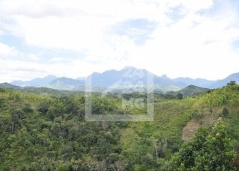 ENVIRONNEMENT – Près de 18 milliards d’ariary de la Fondation pour les aires protégées et la biodiversité de Madagascar (FAPBM) pour appuyer 64 aires protégées en 2023