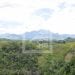 ENVIRONNEMENT – Près de 18 milliards d’ariary de la Fondation pour les aires protégées et la biodiversité de Madagascar (FAPBM) pour appuyer 64 aires protégées en 2023