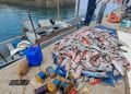 RESSOURCES HALIEUTIQUES – Des tonnes de poisson congelés achetés à Madagascar saisis à Mayotte