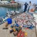 RESSOURCES HALIEUTIQUES – Des  tonnes de poisson congelés achetés à Madagascar saisis à Mayotte