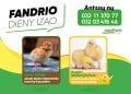 Fandrio dieny izao ny zanak&rsquo;akoho foy iray andro an&rsquo;ny AGRIFARM, na ho an&rsquo;ny zanak&rsquo;akoho mpanatody lava MAH&rsquo;ATODY na zanak&rsquo;akoho fakàna nofo SUPER MAFONJA PLUS.  Aza misalasala miantso mivantana ny ???? 032 03 476 46