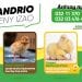 Fandrio dieny izao ny zanak&rsquo;akoho foy iray andro an&rsquo;ny AGRIFARM, na ho an&rsquo;ny zanak&rsquo;akoho mpanatody lava MAH&rsquo;ATODY na zanak&rsquo;akoho fakàna nofo SUPER MAFONJA PLUS.  Aza misalasala miantso mivantana ny ???? 032 03 476 46