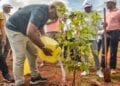 AMÉNAGEMENT – Les membres du gouvernement reboisent à Imerintsiatosika sur le site de Tanamasoandro et mettent en terre 400 jeunes plants d’arbre