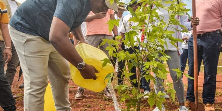 AMÉNAGEMENT – Les membres du gouvernement reboisent à Imerintsiatosika sur le site de Tanamasoandro et mettent en terre 400 jeunes plants d’arbre