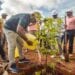 AMÉNAGEMENT – Les membres du gouvernement reboisent à Imerintsiatosika sur le site de Tanamasoandro et mettent en terre 400 jeunes plants d&rsquo;arbre