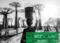 EVENEMENT – Madagascar à l’honneur à l’Alliance Française de Minneapolis à l’occasion du Mois de la Francophonie