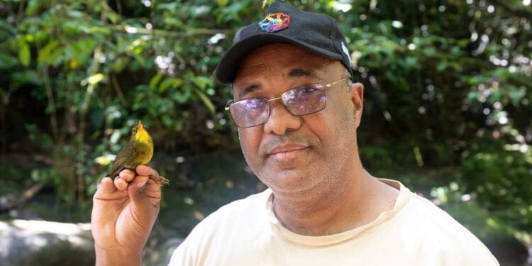 ENVIRONNEMENT – Le Dusky Tetraka, un oiseau chanteur déclaré perdu, retrouvé à Madagascar après 24 ans