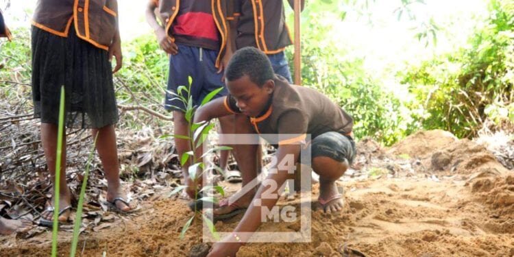 ENVIRONNEMENT – 15 000 élèves de 42 établissements scolaires dans les districts d’Ambato Boeny et de Marovoay à doter de réflexes écologiques
