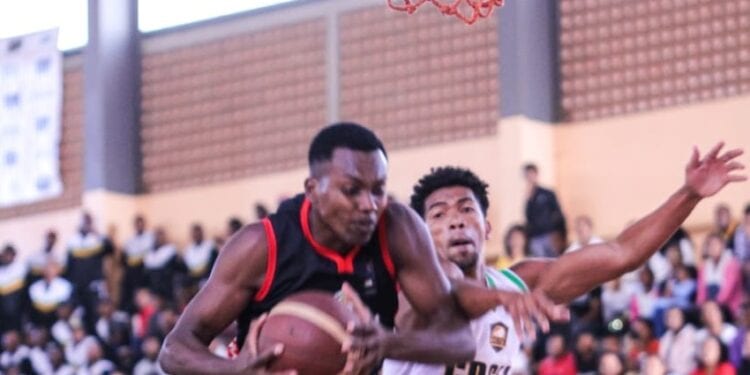 BASKETBALL – Le Cosfa menacé d’une relégation en N1B, le COSPN et le SBC qualifié pour l’Elite 8