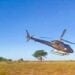 AGRICULTURE – Un deuxième hélicoptère bientôt mobilisé pour lutter contre les essaims de criquets