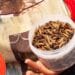 ÉLEVAGE – La filière insecte comestible cherche à se promouvoir à Madagascar