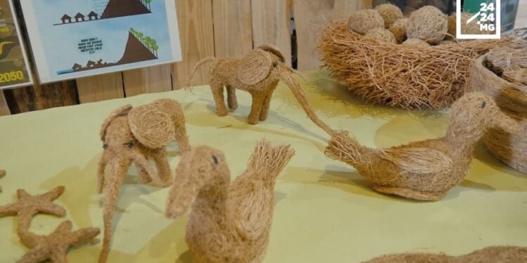 ENVIRONNEMENT – Le vétiver ou l’herbe qui protège le sol et qui embellit la maison