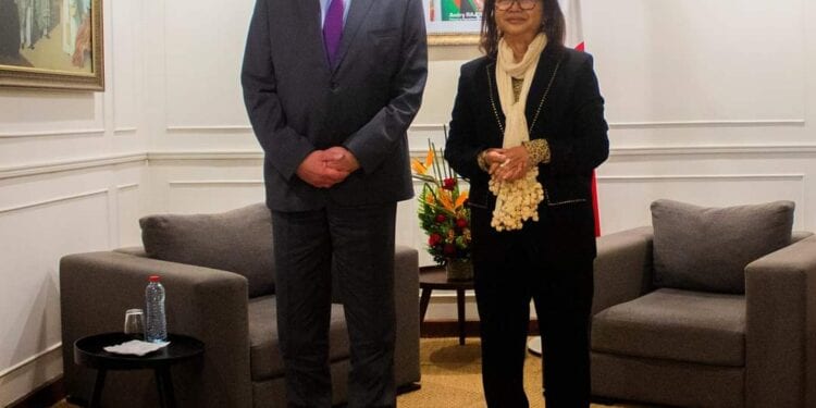 DIPLOMATIE – Madagascar et la Russie ambitionnent d’élargir leur coopération dans divers domaines