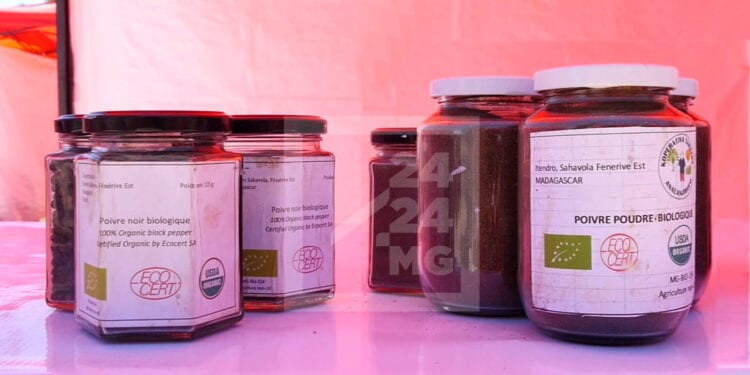 PRODUITS DE RENTE – 3 077 tonnes de poivre exportés par Madagascar en 2022