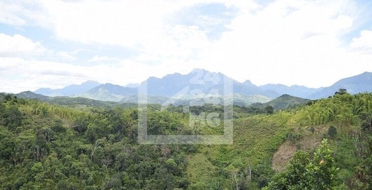 RECHERCHES – Plus de 25 000 publications scientifiques sur la biodiversité de Madagascar  depuis 1990